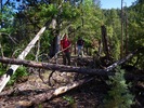 photo thumbnail #2