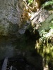 photo thumbnail #15
