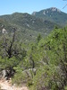 photo thumbnail #4