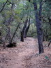 photo thumbnail #6