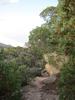 photo thumbnail #11