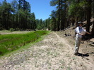 photo thumbnail #5