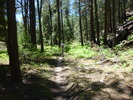 photo thumbnail #6
