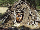 photo thumbnail #4