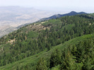 photo thumbnail #6