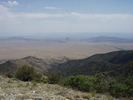 photo thumbnail #15