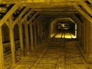photo thumbnail #10