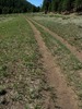 photo thumbnail #5