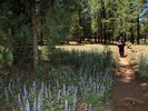 photo thumbnail #12