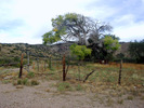 photo thumbnail #7