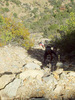 photo thumbnail #9