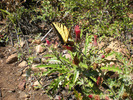 photo thumbnail #4