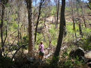 photo thumbnail #7