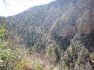 photo thumbnail #13