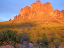 photo thumbnail #7