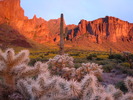 photo thumbnail #8