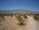 photo thumbnail #3