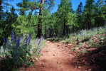 photo thumbnail #8