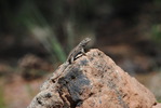 photo thumbnail #13