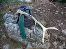 photo thumbnail #10