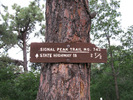 photo thumbnail #6