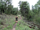 photo thumbnail #9