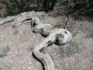 photo thumbnail #13