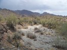 photo thumbnail #8