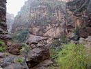 photo thumbnail #12