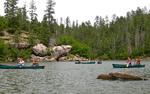 photo thumbnail #7