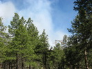 photo thumbnail #9