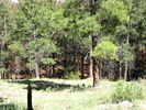 photo thumbnail #14