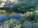 photo thumbnail #9