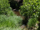 photo thumbnail #12