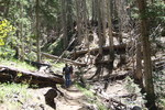 photo thumbnail #5