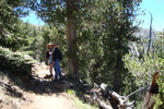 photo thumbnail #11