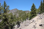 photo thumbnail #13
