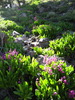 photo thumbnail #13