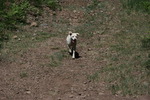 photo thumbnail #8