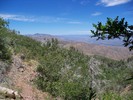 photo thumbnail #5