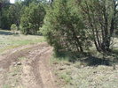 photo thumbnail #7