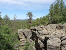 photo thumbnail #9