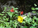 photo thumbnail #3
