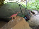 photo thumbnail #6