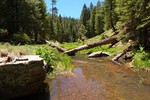 photo thumbnail #13