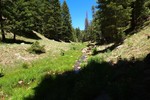 photo thumbnail #14