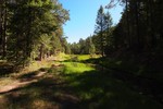 photo thumbnail #6