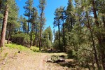 photo thumbnail #14