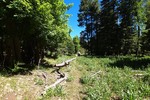 photo thumbnail #9