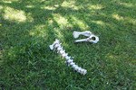photo thumbnail #11